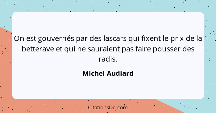 On est gouvernés par des lascars qui fixent le prix de la betterave et qui ne sauraient pas faire pousser des radis.... - Michel Audiard