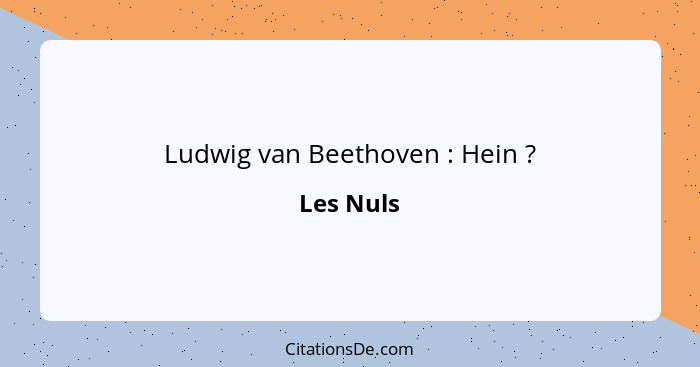 Ludwig van Beethoven : Hein ?... - Les Nuls