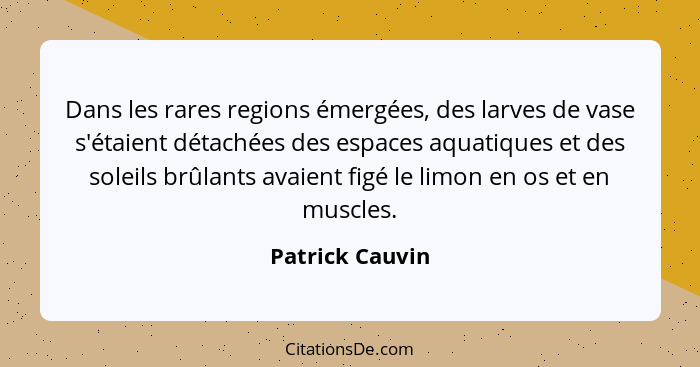 Dans les rares regions émergées, des larves de vase s'étaient détachées des espaces aquatiques et des soleils brûlants avaient figé l... - Patrick Cauvin