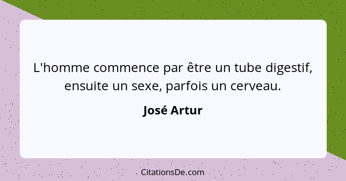 L'homme commence par être un tube digestif, ensuite un sexe, parfois un cerveau.... - José Artur