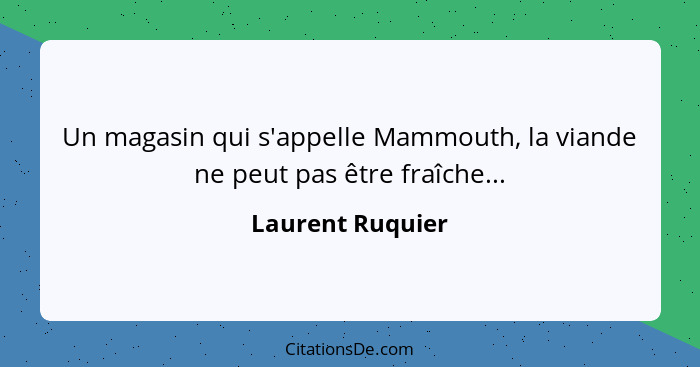 Un magasin qui s'appelle Mammouth, la viande ne peut pas être fraîche...... - Laurent Ruquier