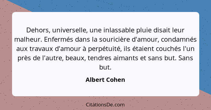 Dehors, universelle, une inlassable pluie disait leur malheur. Enfermés dans la souricière d'amour, condamnés aux travaux d'amour à per... - Albert Cohen