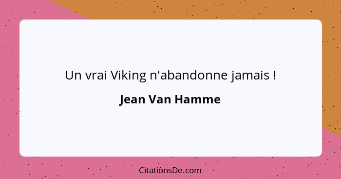 Un vrai Viking n'abandonne jamais !... - Jean Van Hamme