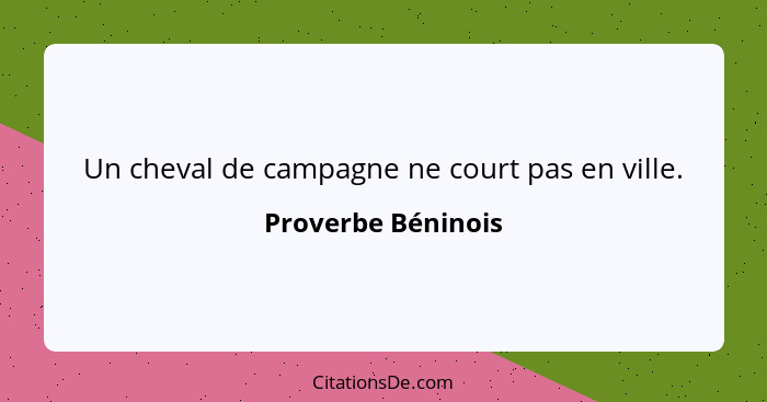 Un cheval de campagne ne court pas en ville.... - Proverbe Béninois