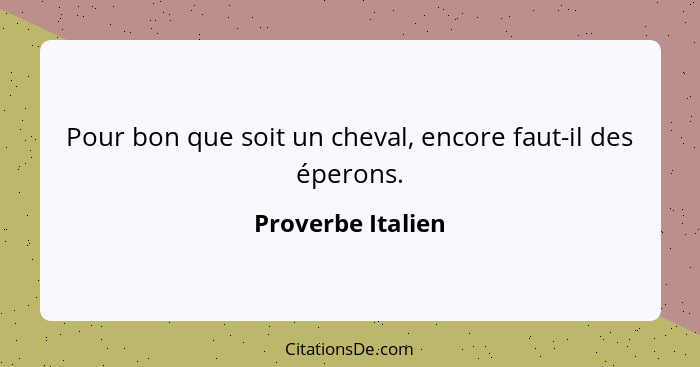 Pour bon que soit un cheval, encore faut-il des éperons.... - Proverbe Italien