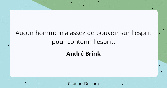 Aucun homme n'a assez de pouvoir sur l'esprit pour contenir l'esprit.... - André Brink