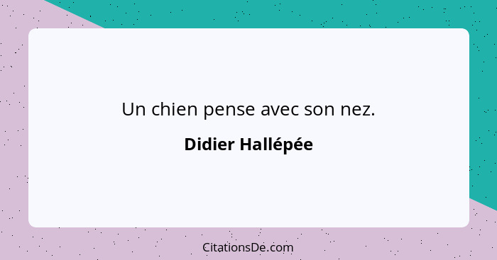 Un chien pense avec son nez.... - Didier Hallépée