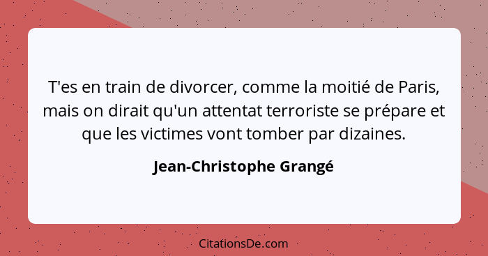 T'es en train de divorcer, comme la moitié de Paris, mais on dirait qu'un attentat terroriste se prépare et que les victimes... - Jean-Christophe Grangé