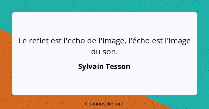 Le reflet est l'echo de l'image, l'écho est l'image du son.... - Sylvain Tesson