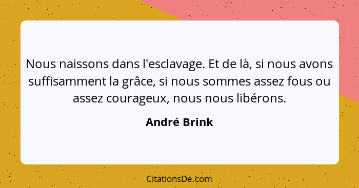 Nous naissons dans l'esclavage. Et de là, si nous avons suffisamment la grâce, si nous sommes assez fous ou assez courageux, nous nous l... - André Brink