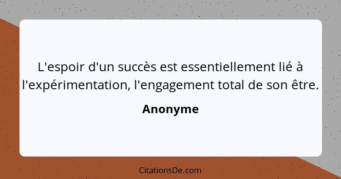 L'espoir d'un succès est essentiellement lié à l'expérimentation, l'engagement total de son être.... - Anonyme