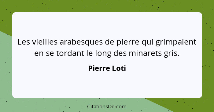 Les vieilles arabesques de pierre qui grimpaient en se tordant le long des minarets gris.... - Pierre Loti