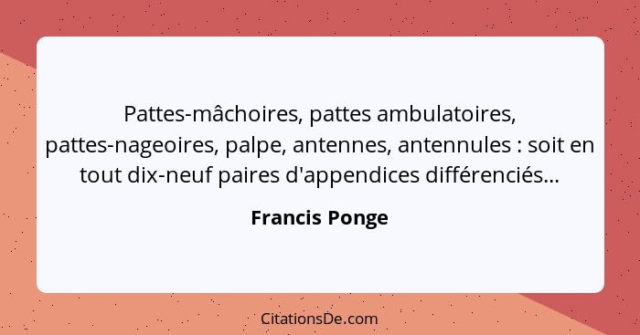 Pattes-mâchoires, pattes ambulatoires, pattes-nageoires, palpe, antennes, antennules : soit en tout dix-neuf paires d'appendices... - Francis Ponge