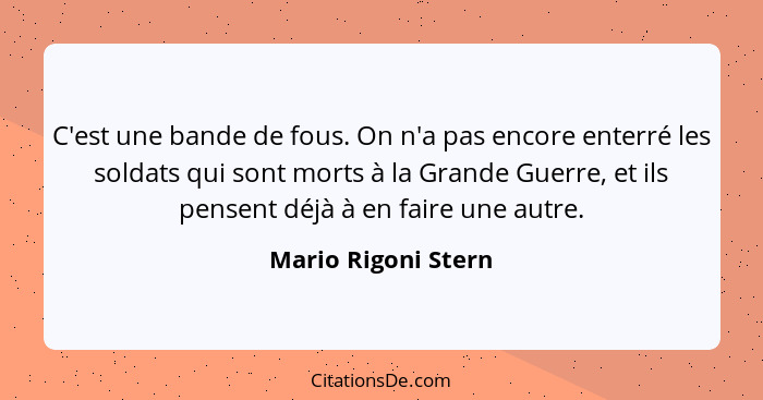 C'est une bande de fous. On n'a pas encore enterré les soldats qui sont morts à la Grande Guerre, et ils pensent déjà à en faire... - Mario Rigoni Stern