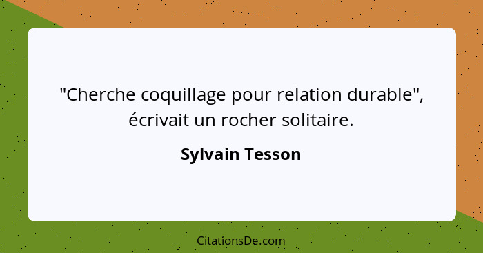 "Cherche coquillage pour relation durable", écrivait un rocher solitaire.... - Sylvain Tesson