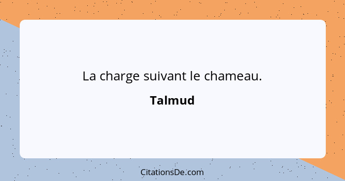 La charge suivant le chameau.... - Talmud