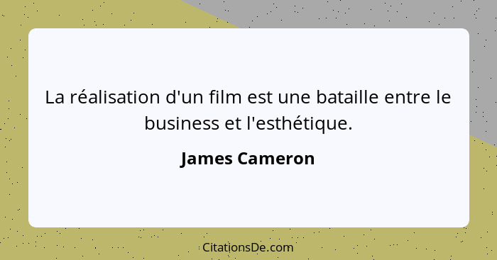 La réalisation d'un film est une bataille entre le business et l'esthétique.... - James Cameron