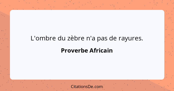 L'ombre du zèbre n'a pas de rayures.... - Proverbe Africain