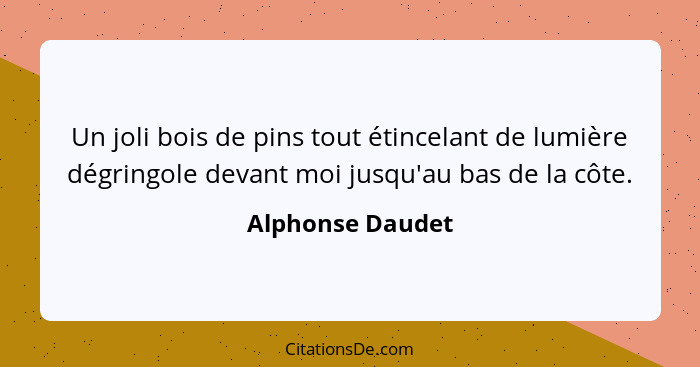 Un joli bois de pins tout étincelant de lumière dégringole devant moi jusqu'au bas de la côte.... - Alphonse Daudet