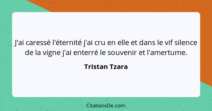 J'ai caressé l'éternité j'ai cru en elle et dans le vif silence de la vigne j'ai enterré le souvenir et l'amertume.... - Tristan Tzara