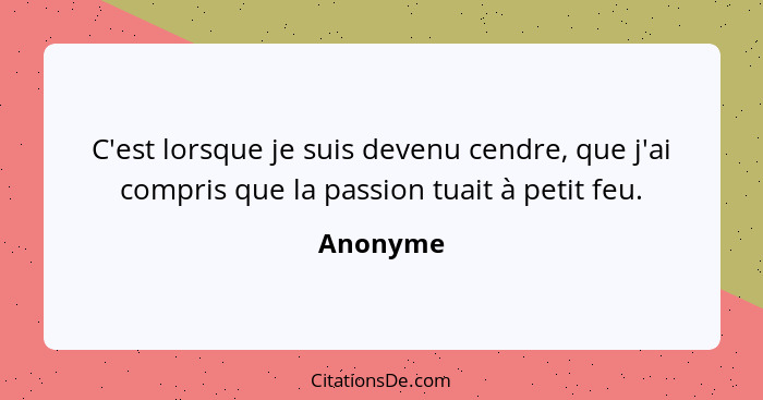 C'est lorsque je suis devenu cendre, que j'ai compris que la passion tuait à petit feu.... - Anonyme