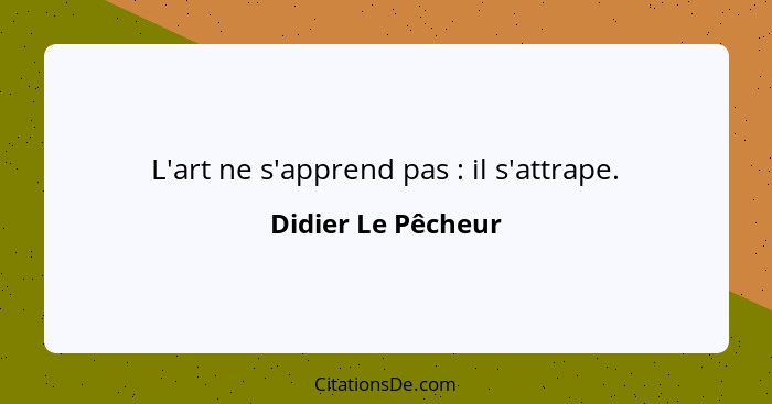 L'art ne s'apprend pas : il s'attrape.... - Didier Le Pêcheur