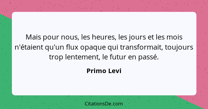 Mais pour nous, les heures, les jours et les mois n'étaient qu'un flux opaque qui transformait, toujours trop lentement, le futur en pass... - Primo Levi