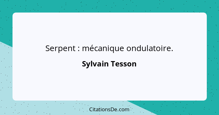 Serpent : mécanique ondulatoire.... - Sylvain Tesson