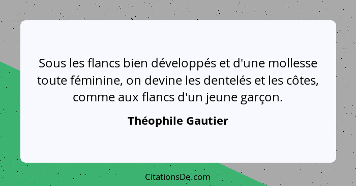 Sous les flancs bien développés et d'une mollesse toute féminine, on devine les dentelés et les côtes, comme aux flancs d'un jeune... - Théophile Gautier