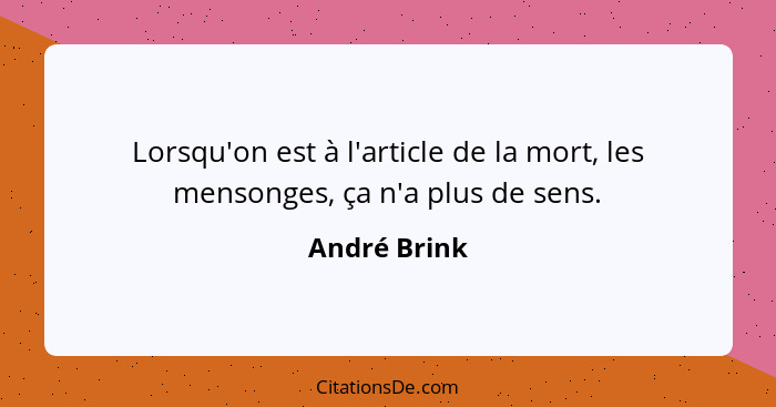 Lorsqu'on est à l'article de la mort, les mensonges, ça n'a plus de sens.... - André Brink