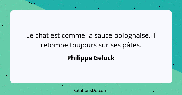 Le chat est comme la sauce bolognaise, il retombe toujours sur ses pâtes.... - Philippe Geluck