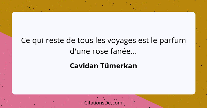 Ce qui reste de tous les voyages est le parfum d'une rose fanée...... - Cavidan Tümerkan