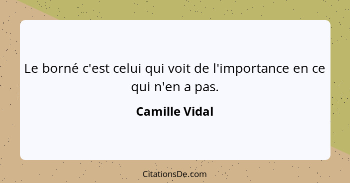 Le borné c'est celui qui voit de l'importance en ce qui n'en a pas.... - Camille Vidal