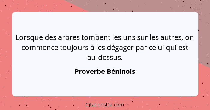 Lorsque des arbres tombent les uns sur les autres, on commence toujours à les dégager par celui qui est au-dessus.... - Proverbe Béninois