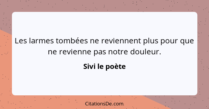 Les larmes tombées ne reviennent plus pour que ne revienne pas notre douleur.... - Sivi le poète