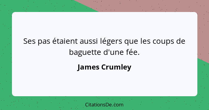 Ses pas étaient aussi légers que les coups de baguette d'une fée.... - James Crumley