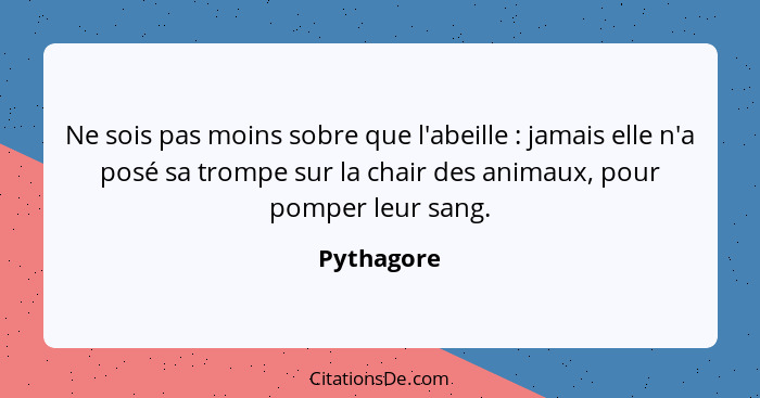 Ne sois pas moins sobre que l'abeille : jamais elle n'a posé sa trompe sur la chair des animaux, pour pomper leur sang.... - Pythagore