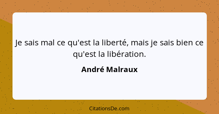 Je sais mal ce qu'est la liberté, mais je sais bien ce qu'est la libération.... - André Malraux