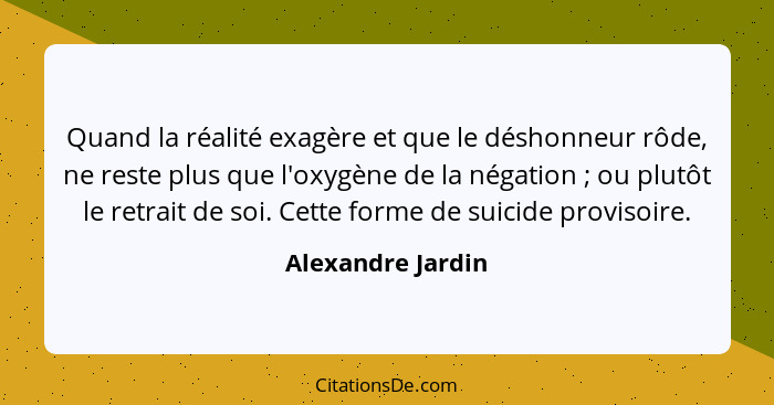 Quand la réalité exagère et que le déshonneur rôde, ne reste plus que l'oxygène de la négation ; ou plutôt le retrait de soi.... - Alexandre Jardin