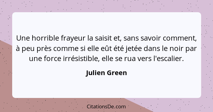 Une horrible frayeur la saisit et, sans savoir comment, à peu près comme si elle eût été jetée dans le noir par une force irrésistible,... - Julien Green