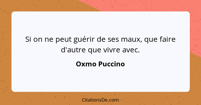 Si on ne peut guérir de ses maux, que faire d'autre que vivre avec.... - Oxmo Puccino