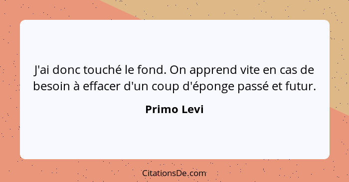 J'ai donc touché le fond. On apprend vite en cas de besoin à effacer d'un coup d'éponge passé et futur.... - Primo Levi