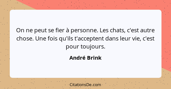 On ne peut se fier à personne. Les chats, c'est autre chose. Une fois qu'ils t'acceptent dans leur vie, c'est pour toujours.... - André Brink