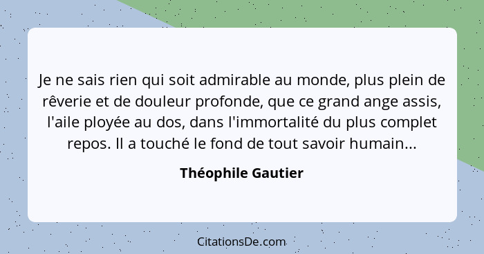 Je ne sais rien qui soit admirable au monde, plus plein de rêverie et de douleur profonde, que ce grand ange assis, l'aile ployée... - Théophile Gautier