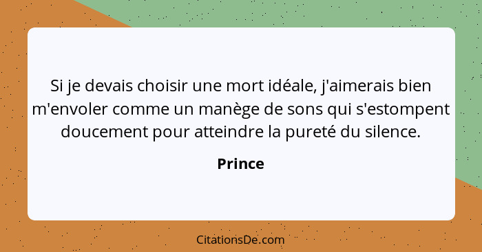 Si je devais choisir une mort idéale, j'aimerais bien m'envoler comme un manège de sons qui s'estompent doucement pour atteindre la pureté du... - Prince