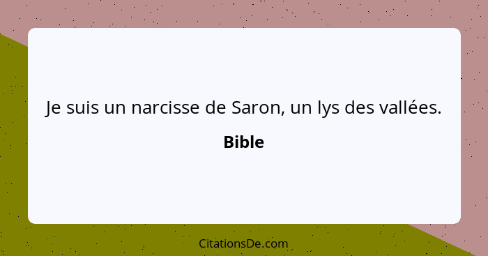 Je suis un narcisse de Saron, un lys des vallées.... - Bible