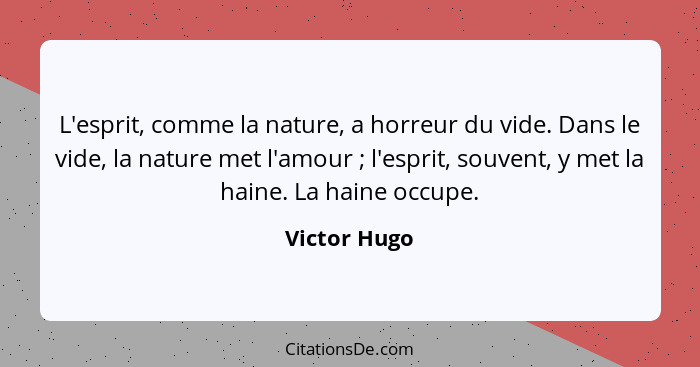 L'esprit, comme la nature, a horreur du vide. Dans le vide, la nature met l'amour ; l'esprit, souvent, y met la haine. La haine occ... - Victor Hugo