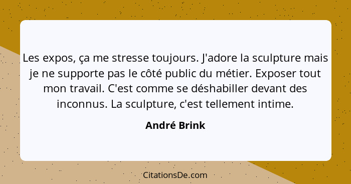 Les expos, ça me stresse toujours. J'adore la sculpture mais je ne supporte pas le côté public du métier. Exposer tout mon travail. C'es... - André Brink