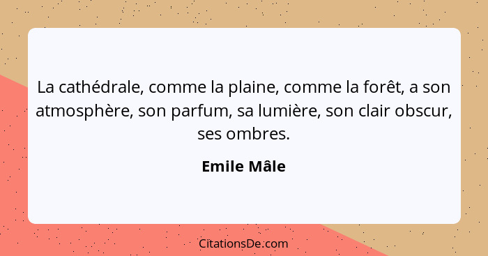 La cathédrale, comme la plaine, comme la forêt, a son atmosphère, son parfum, sa lumière, son clair obscur, ses ombres.... - Emile Mâle