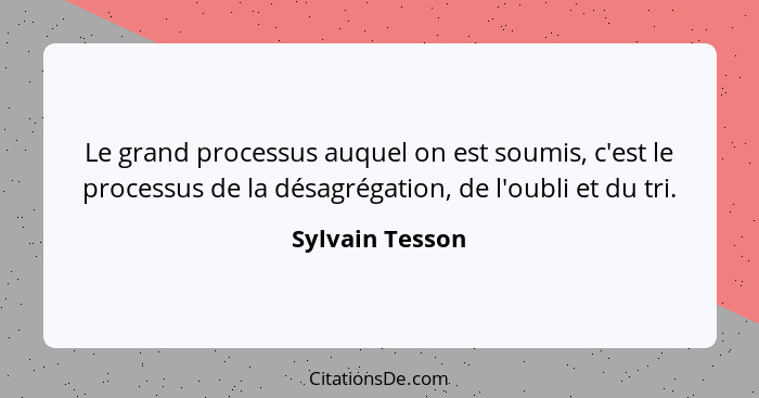 Le grand processus auquel on est soumis, c'est le processus de la désagrégation, de l'oubli et du tri.... - Sylvain Tesson